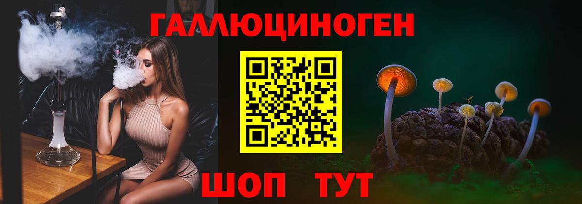 Галлюциногенные грибы GOLDEN TEACHER  Вход с VPN  Галлюциногенные грибы мухоморы  Усть-Илимск 